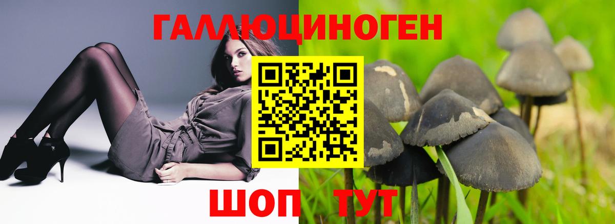 Кыштым  Галлюциногенные грибы мухоморы  Вход с VPN 